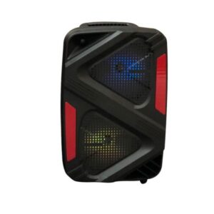 Cassa Karaoke 16 6000W 9Dsound